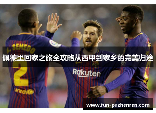 佩德里回家之旅全攻略从西甲到家乡的完美归途