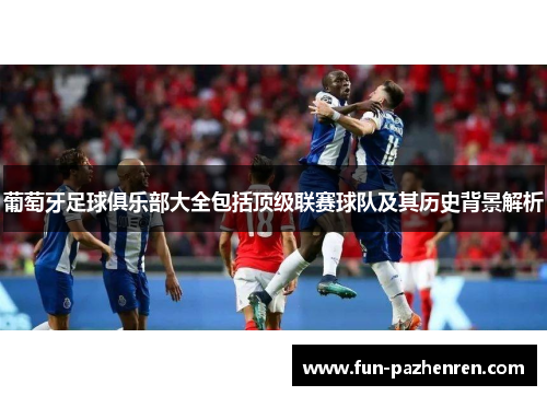 葡萄牙足球俱乐部大全包括顶级联赛球队及其历史背景解析