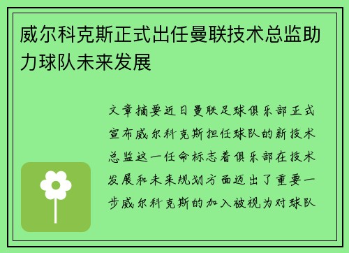 威尔科克斯正式出任曼联技术总监助力球队未来发展